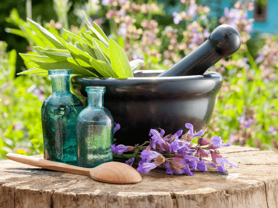 Herbs for therapeutic baths for osteochondrosis