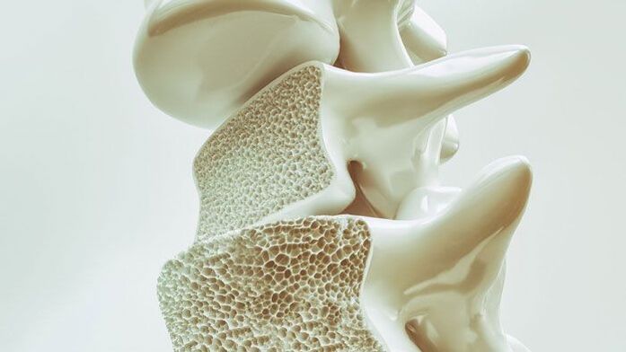 segmental model of the spine